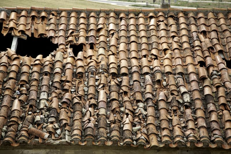 Tile Roof Repair