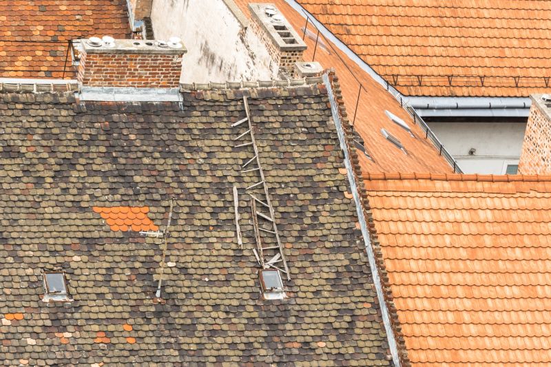 What To Expect During A Professional Tile Roof Repair