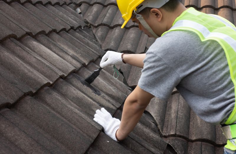 Specialized Tile Roof Repair Experts